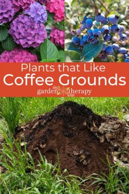 what flowers like coffee grounds what do you think about the effects of coffee on soil health